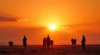 The Oral Traditions of the Maasai People: Stories of Warriors and Cattle